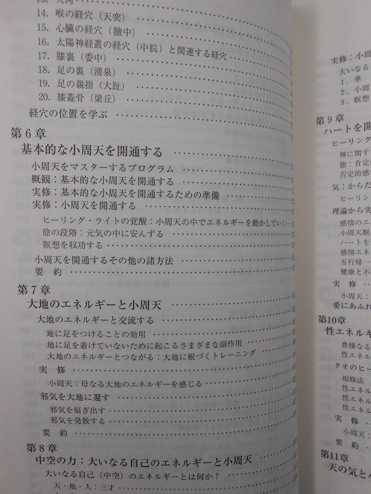 タオ人間医学 - 基礎的実践法 タオ人間医学 - 基礎的実践法 - メルカリ