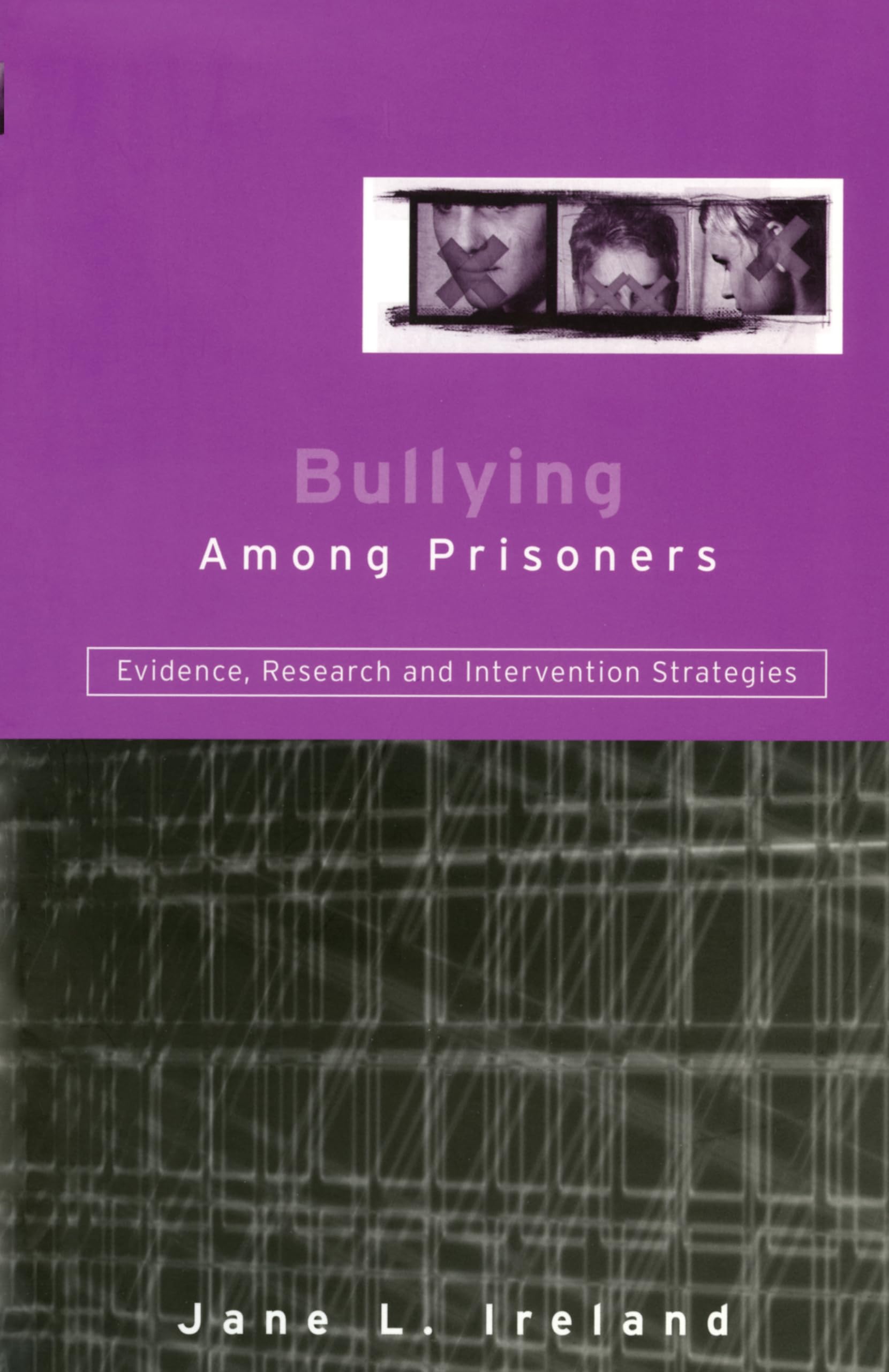 Bullying Among Prisoners: Evidence, Research and Intervention Strategies