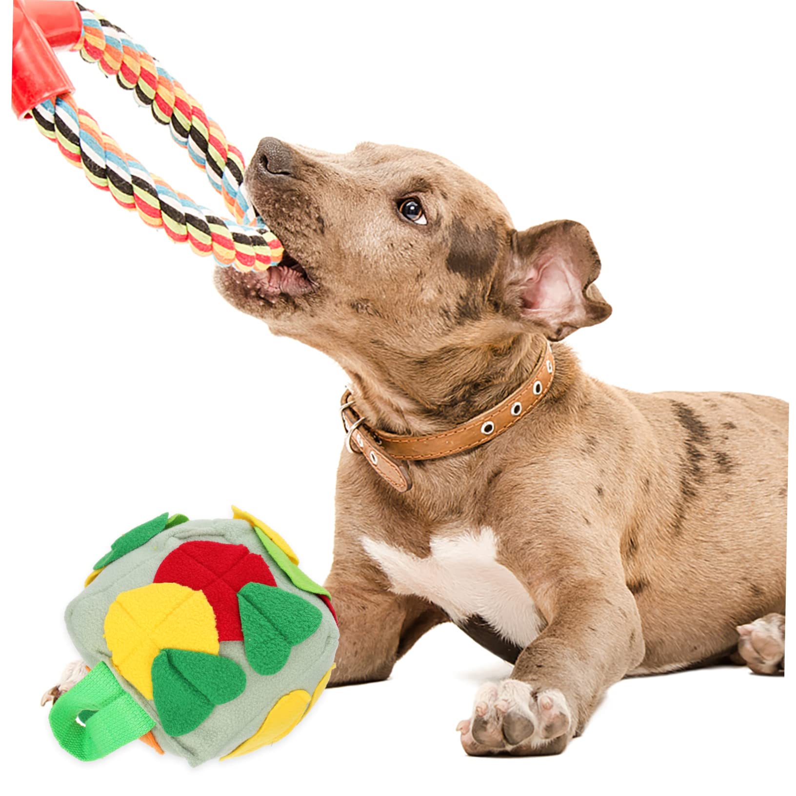 FRCOLOR 3stücke Hunde Schnüffelball Interaktives Kauspielzeug Für Langsames Fressen Und Training Fördert Die Sinne Übergewicht