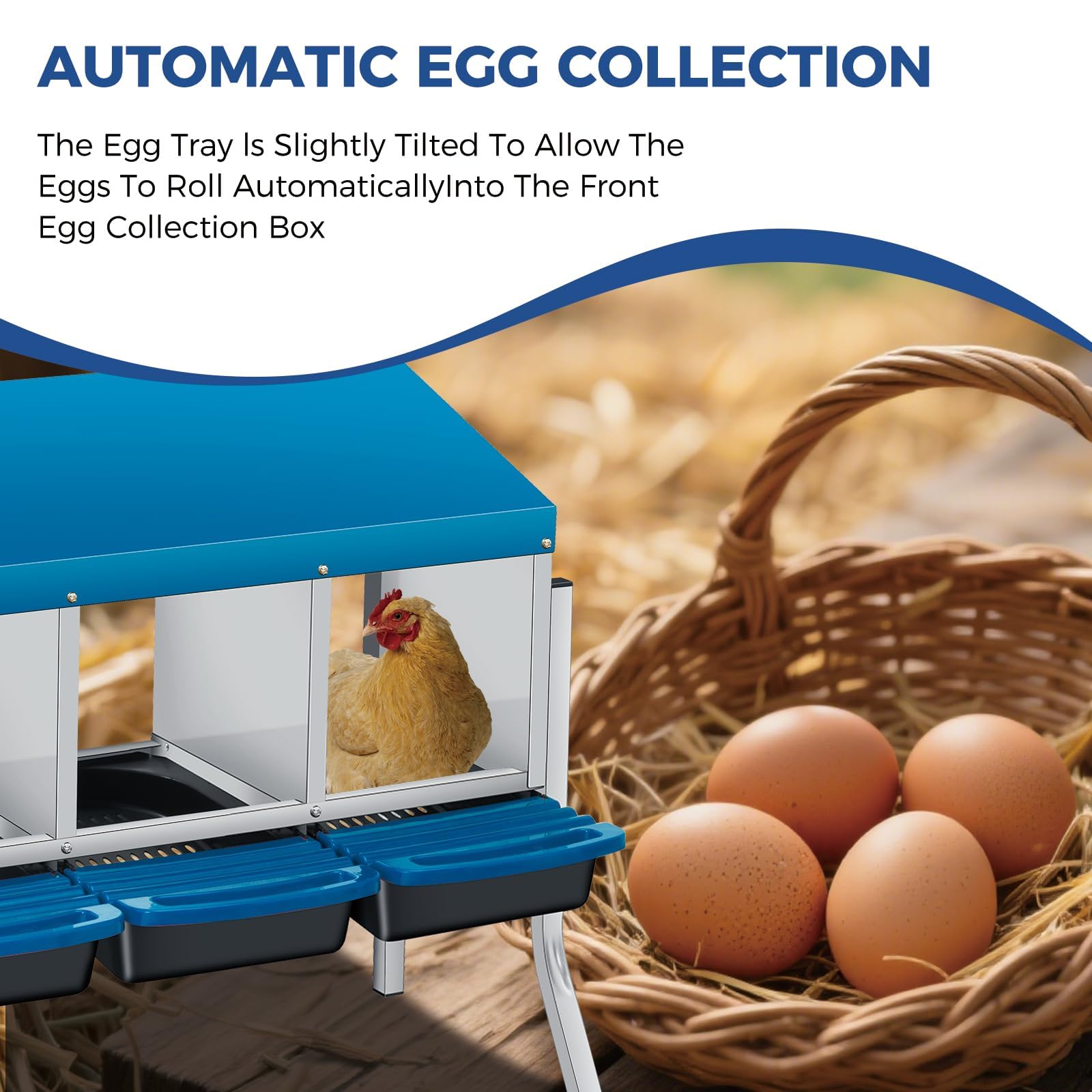 Garvee Nido para gallinas ponedoras de 4 Compartimentos con Patas de Soporte, Caja Nido de Acero galvanizado con Recogida de Huevos automática, Techo Azul y bandejas extraíbles para gallinero de