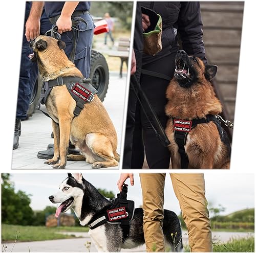 Miniatura 4 de Parche táctico con texto en inglés Stay Wille, parches militares para campamento, divertidos apliques bordados para ropa, mochila, chalecos, jeans,