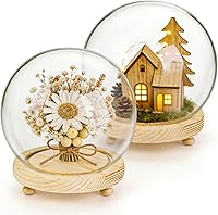 Vista 1 de Paquete de 2 cúpula de cristal transparente, tarro decorativo de 6 pulgadas con base de madera, estuche de nieve para bricolaje, escaparate