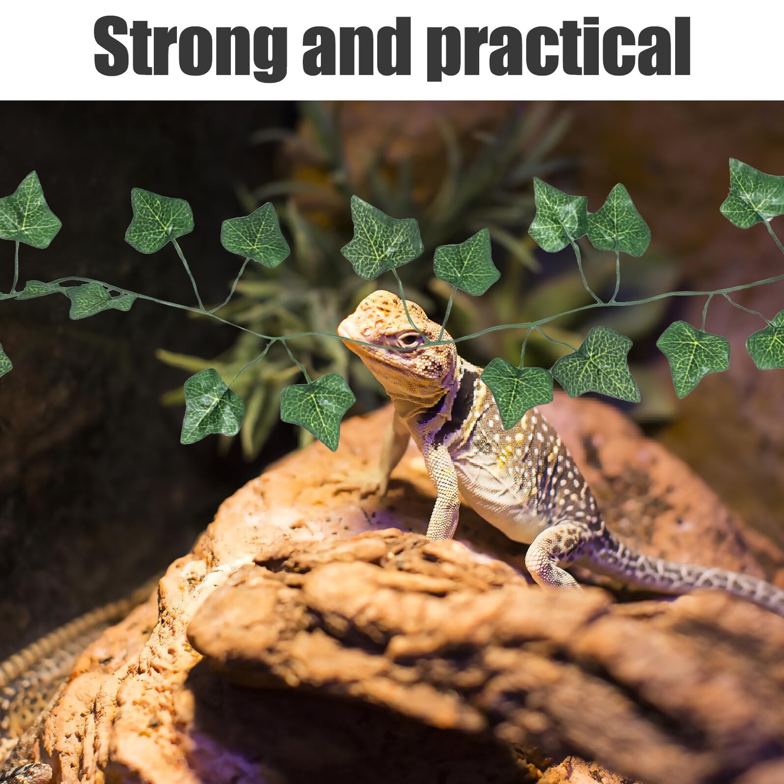 Set 4 Pezzi Accessori per Rettili da Arrampicata Ponte in Legno, Amaca a Triangolo e Decorazioni Naturali, Struttura per Terrario per Serpenti, Lucertole e Cincillà