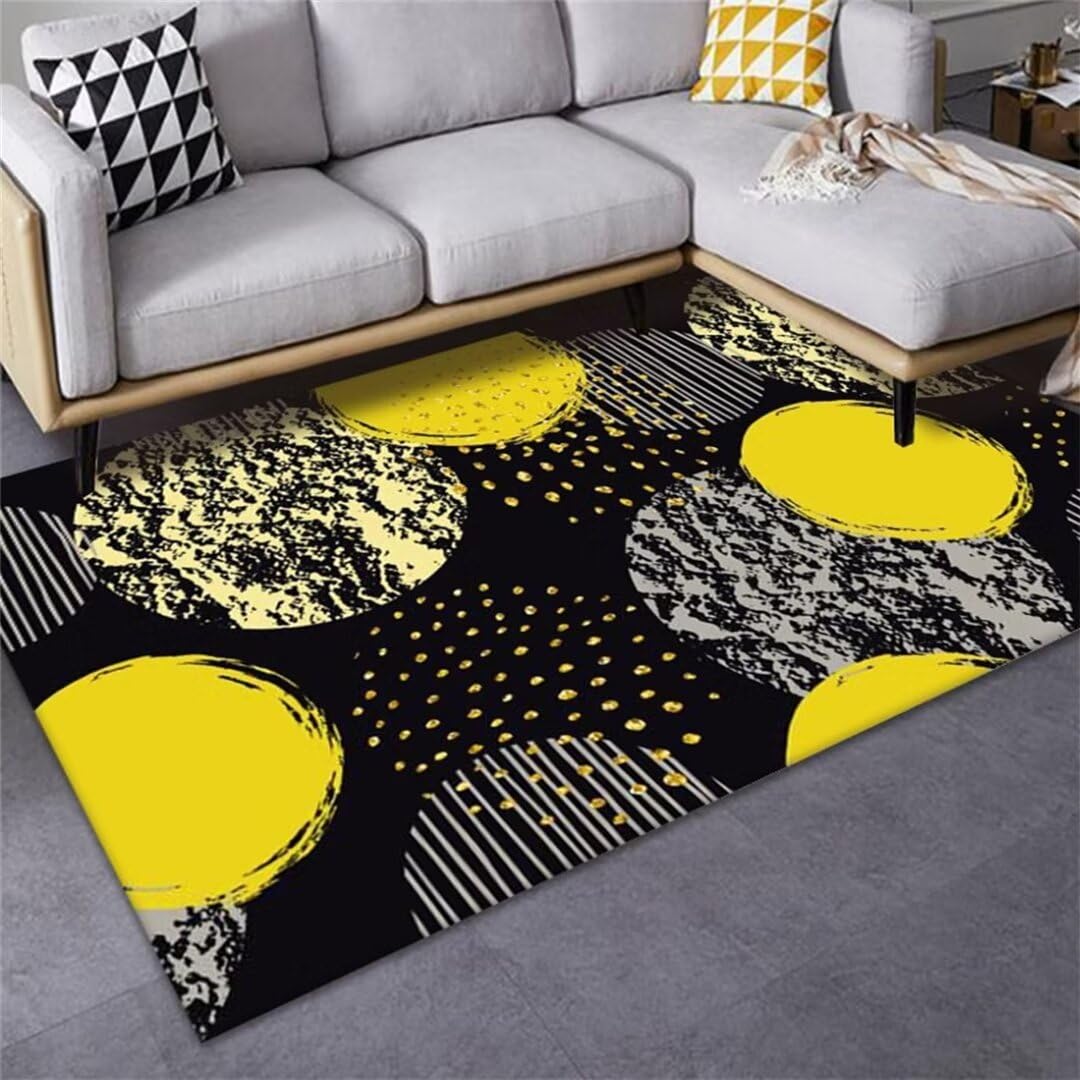 Tapis grand taille pas cher lavable pour salon et chambre