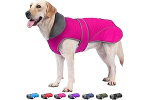 Dogcheer Dog Winter Coat for Cold Weather