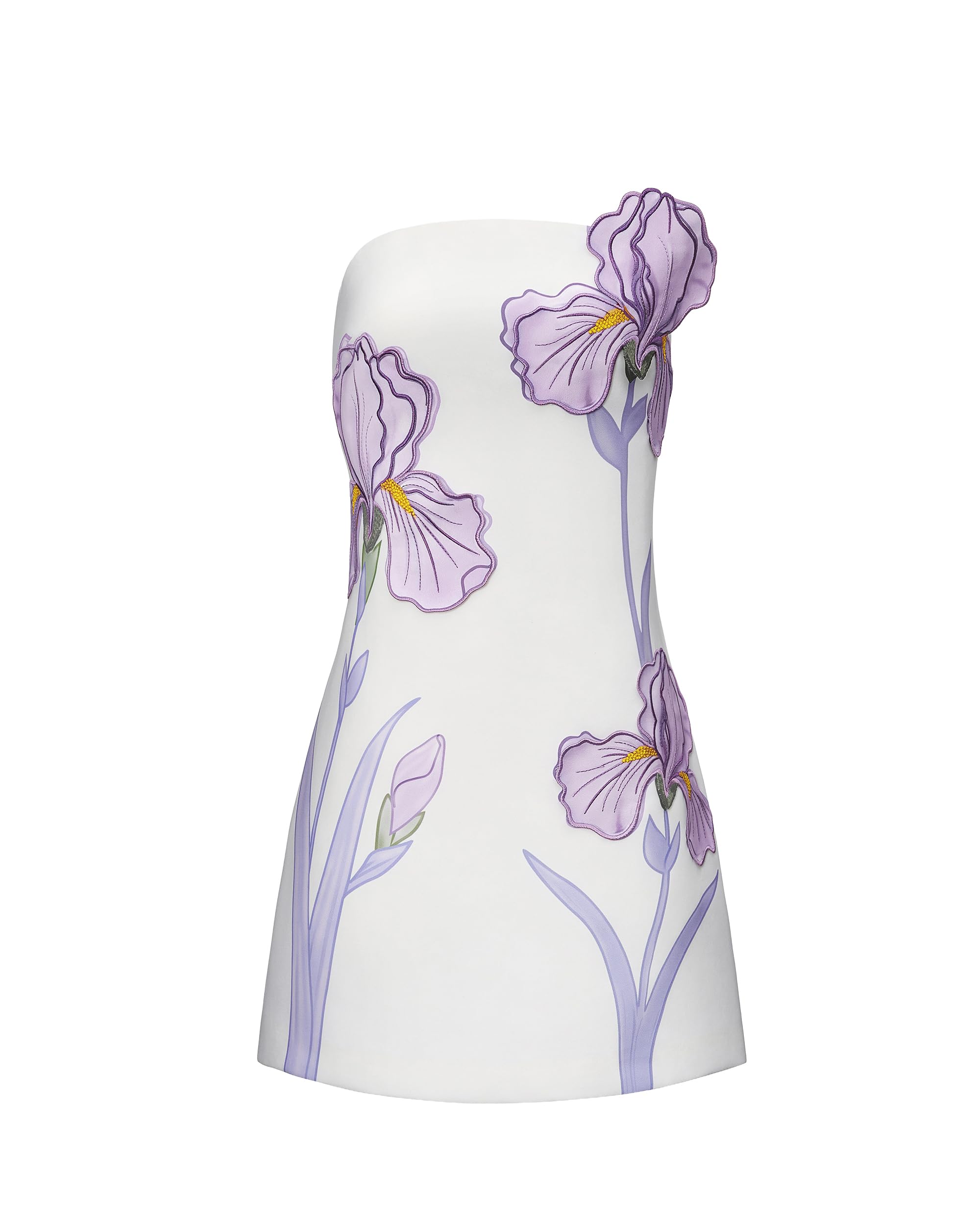 Women's 3D Floral Appliqué Strapless Mini Dress