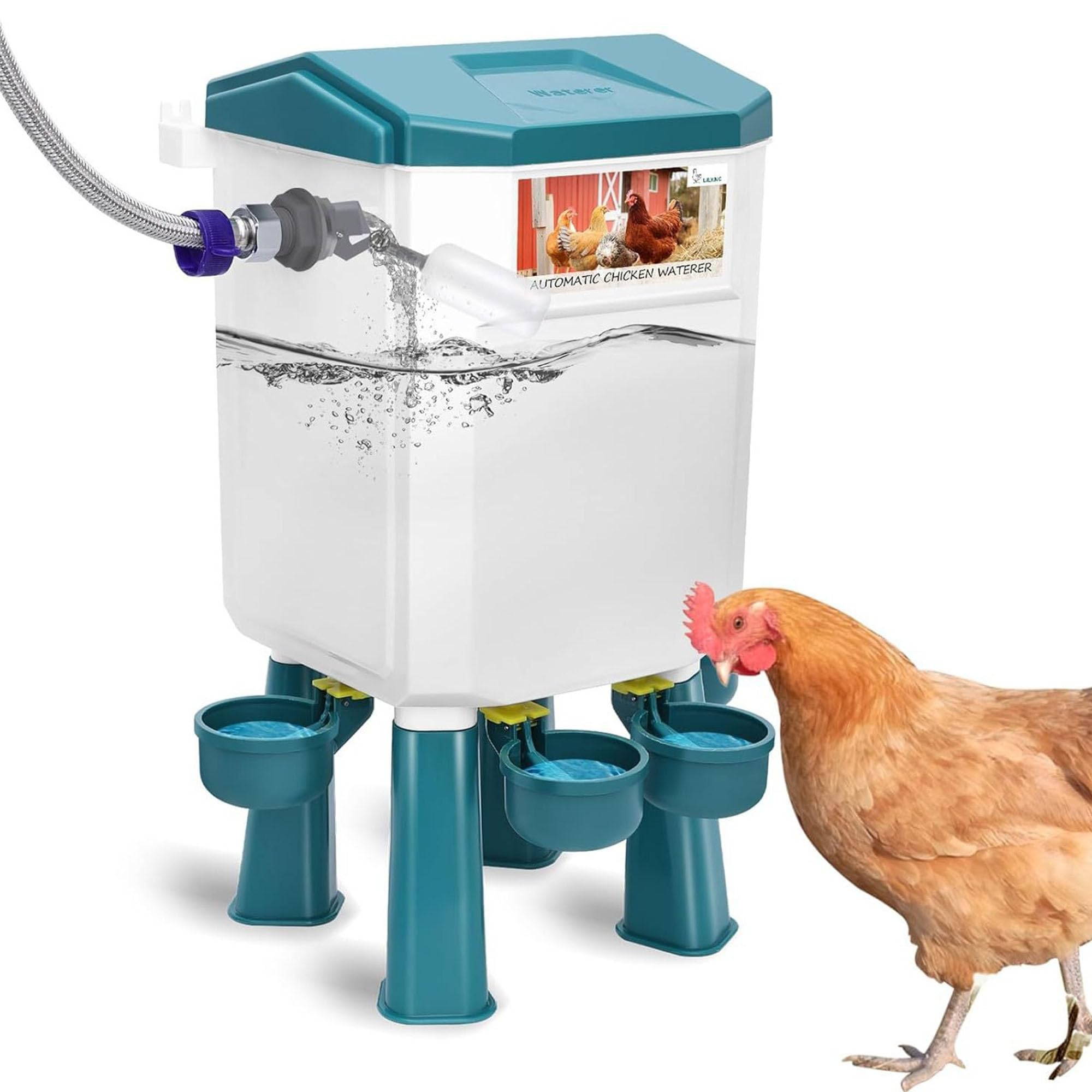 Regadera automática de pollo, bebedero de aves de corral independiente de 7 L con patas ajustables y manguera de acero inoxidable para un fácil acceso