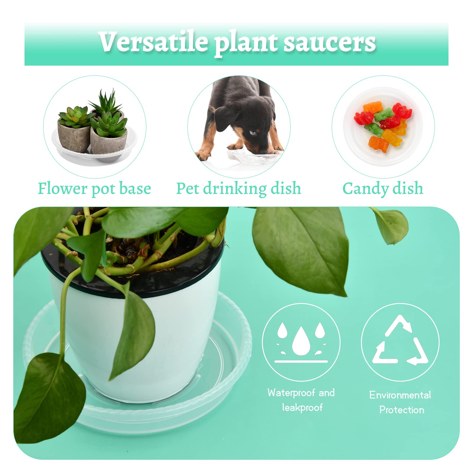 Vasi da fiori in plastica trasparente extra large per piante da appartamento, aroidi, hoya, monstera 11,8 pollici/30 cm, vaso jumbo, fioriera trasparente con drenaggio - Italia Vasi da fiori in plastica trasparente extra large per piante da appartamento, aroidi, hoya, monstera 11,8 pollici/30 cm, vaso jumbo, fioriera trasparente con drenaggio - Italia