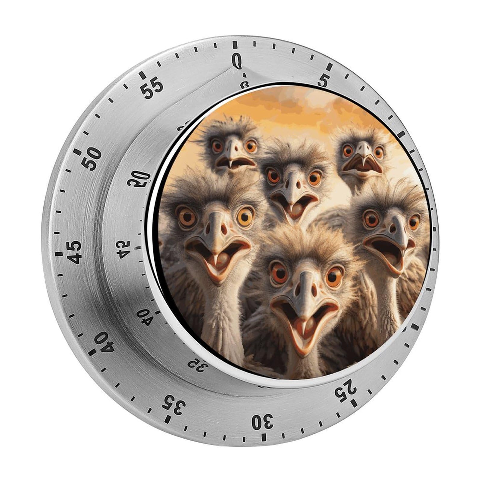 A Flock of Ostriches Visual Timer with Loud Alarm 60-Minute Kitchen Timers Exquisite Stainless Steel Body - Mechanical Desk Timer Countdown Clock for Cooking Chef Clock
