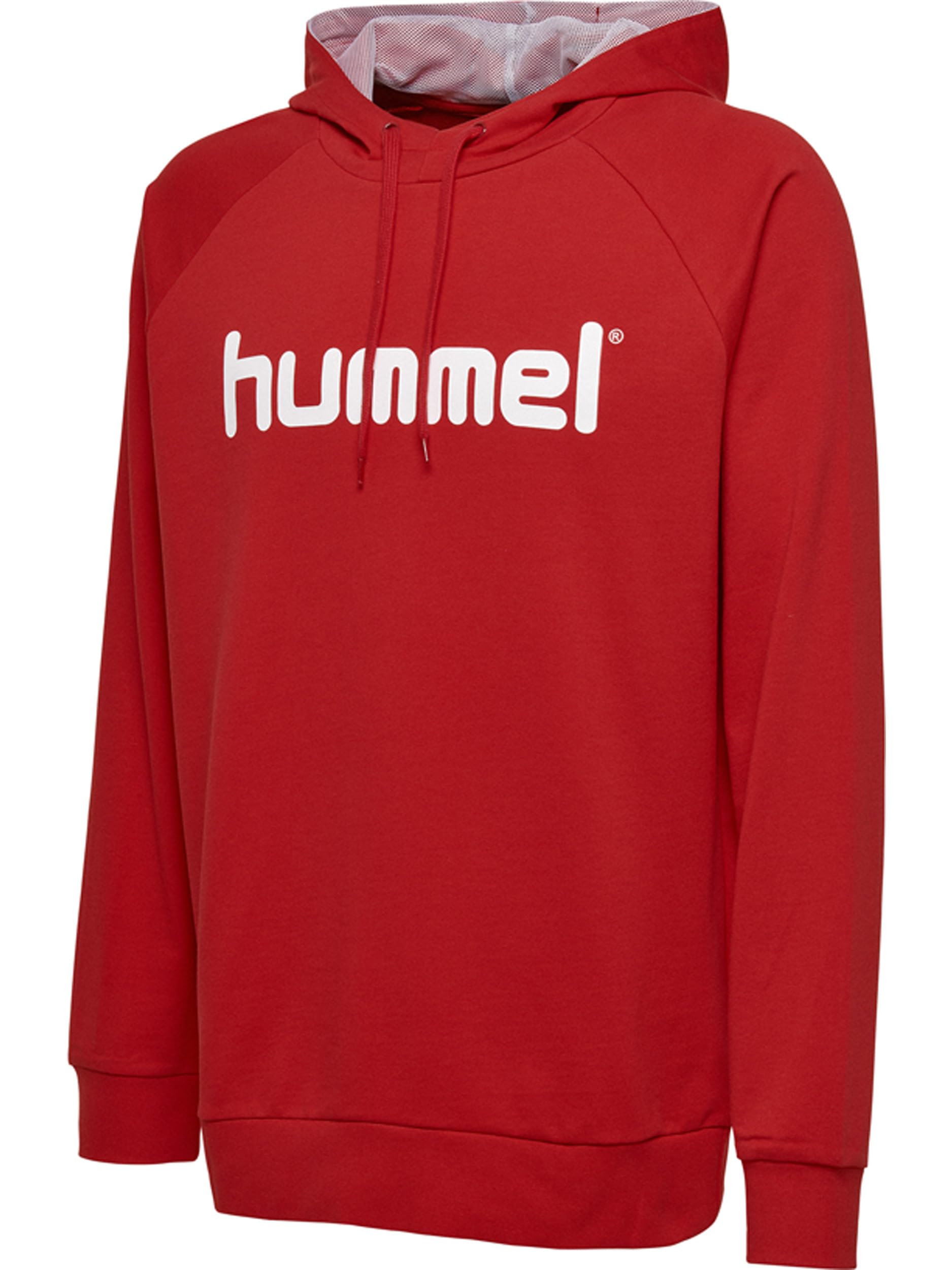 hummel Bluza z kapturem Mężczyźni Hmlgo Cotton Logo Hoodie