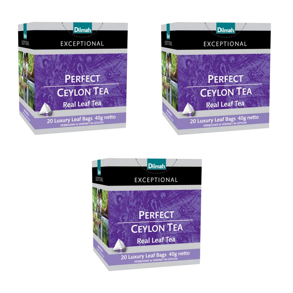 Buy Dilmah Perfect Ceylon Tea 20 Tea Bags X 3 Pack Dilmah Exceptional