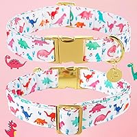 Vista 2 de Collar de perro de algodón de dinosaurio con hebilla de metal, collar de regalo para niñas o niños pequeños, medianos y grandes, lindos collares