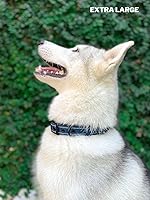 Vista 8 de Tuff Pupper Collar de perro resistente con asa Collar de nailon balístico resistente Collar de perro reflectante acolchado con herrajes de acero