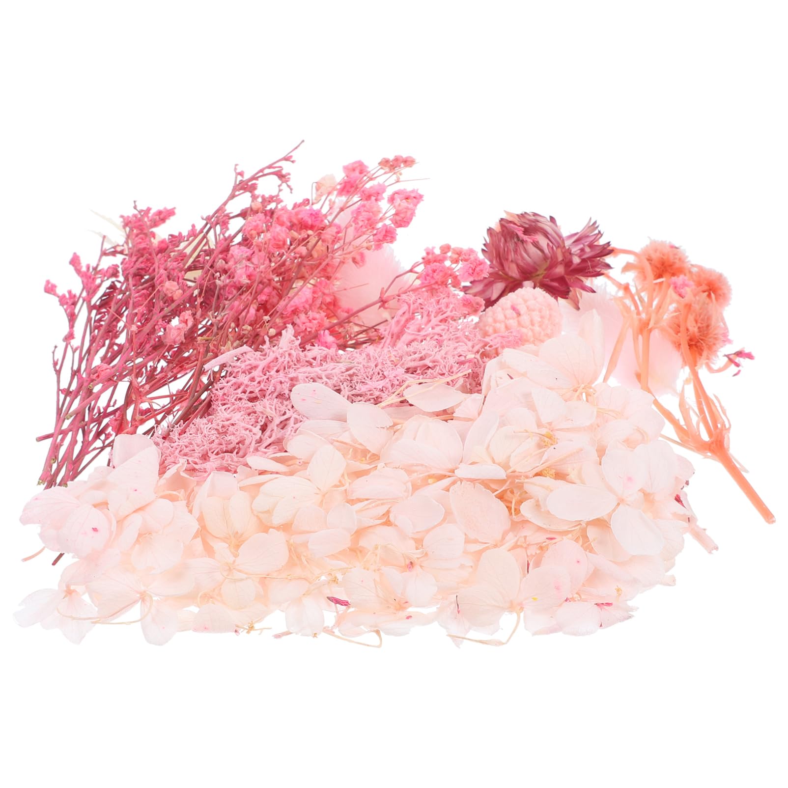 COHEALI 5sets Fiori Secchi Pressati Naturali Per Decorazioni Fai Te Fiori Per Candele e Artigianato Creativo