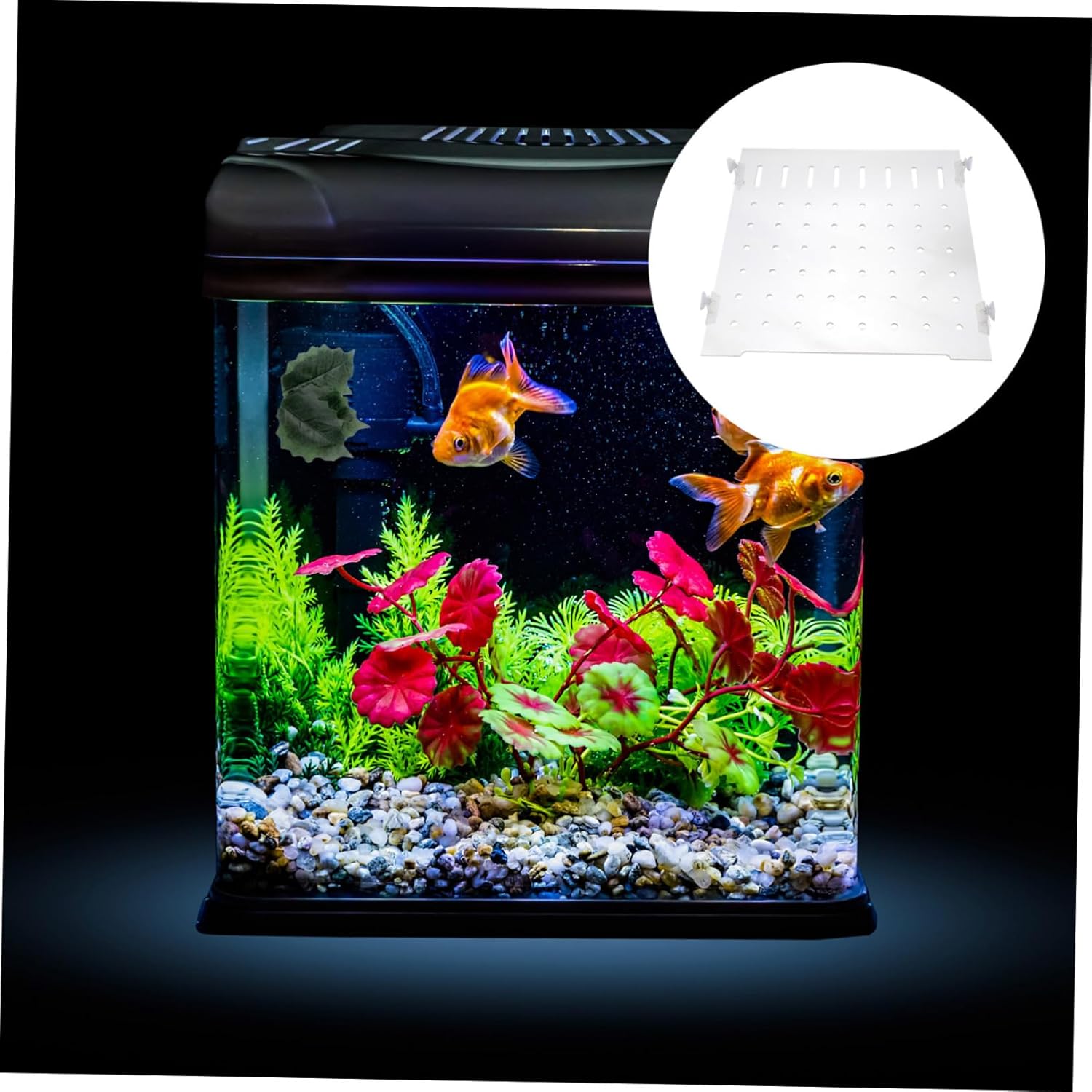 1set Aquarium Isolation Plate Baffle for Fish Tank Includes Fixed Clips Separates Fish Easily Survival Rate for Diverse Aquatic Species