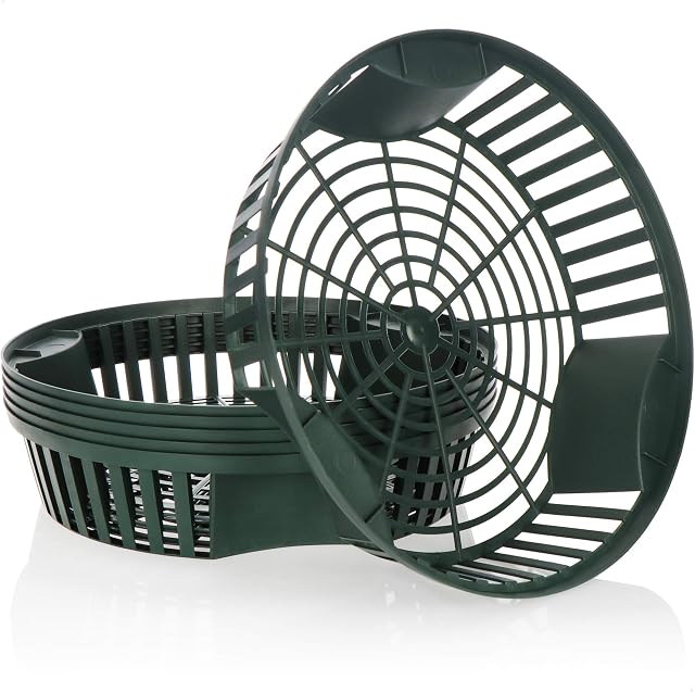 com-four® 6x plant baskets for flower bulbs, propagation planter bowl for planting and storing bulb plants, medium-sized green onion basket (06x planter bowl green - 26.5cm)