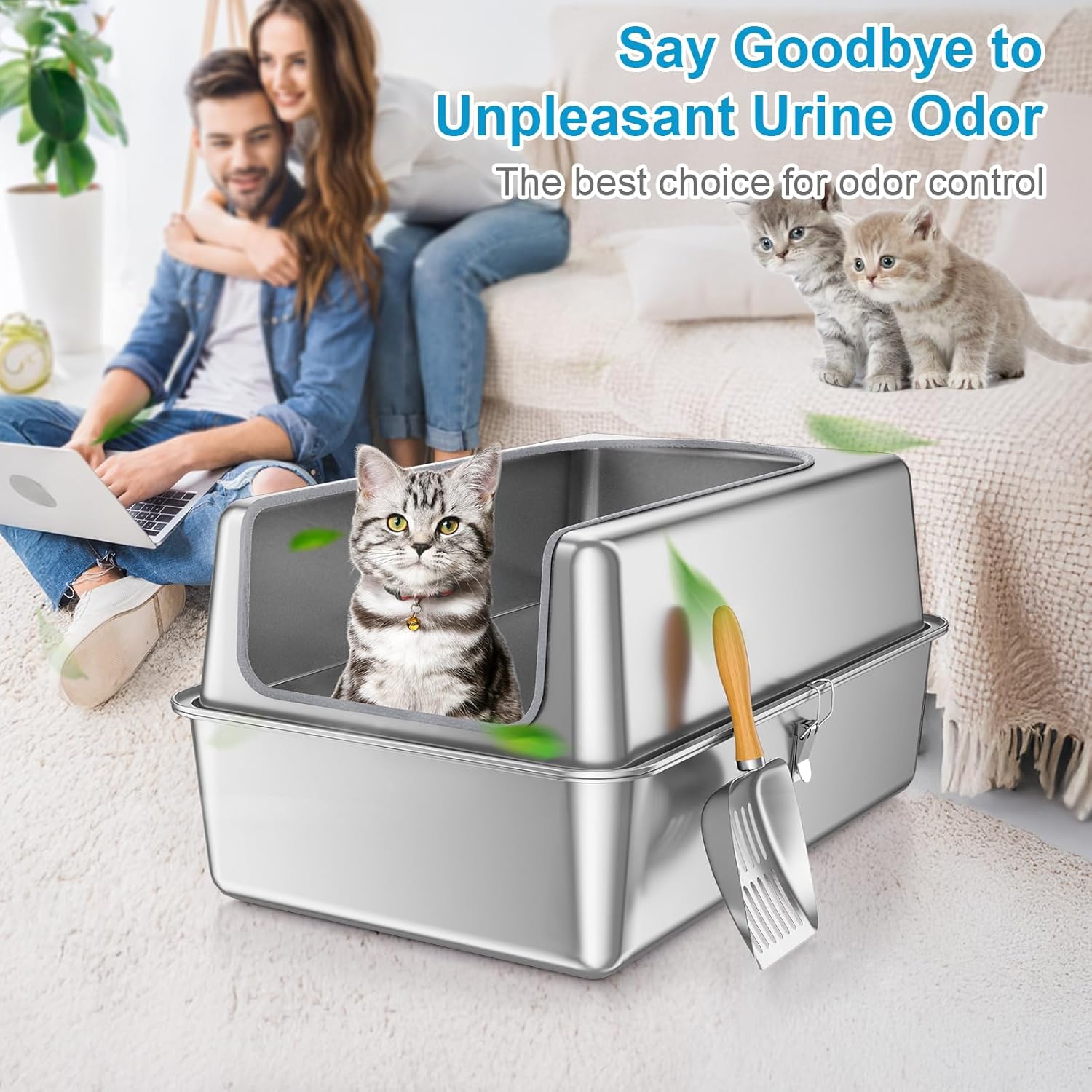 https://m.media-amazon.com/images/I/71OgpZDGSJL._AC_SL1500_.jpg