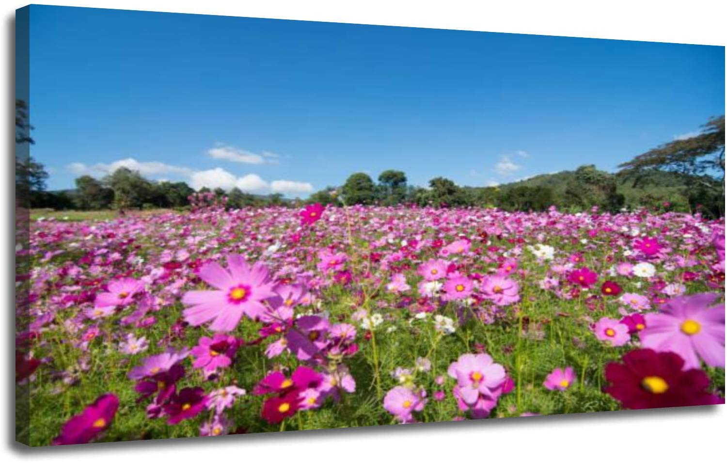 Framed Canvas Wall Art for Living Room Bedroom Office Decorations Cosmos Flower field sky spring season flowers blooming beautifully Decor Print