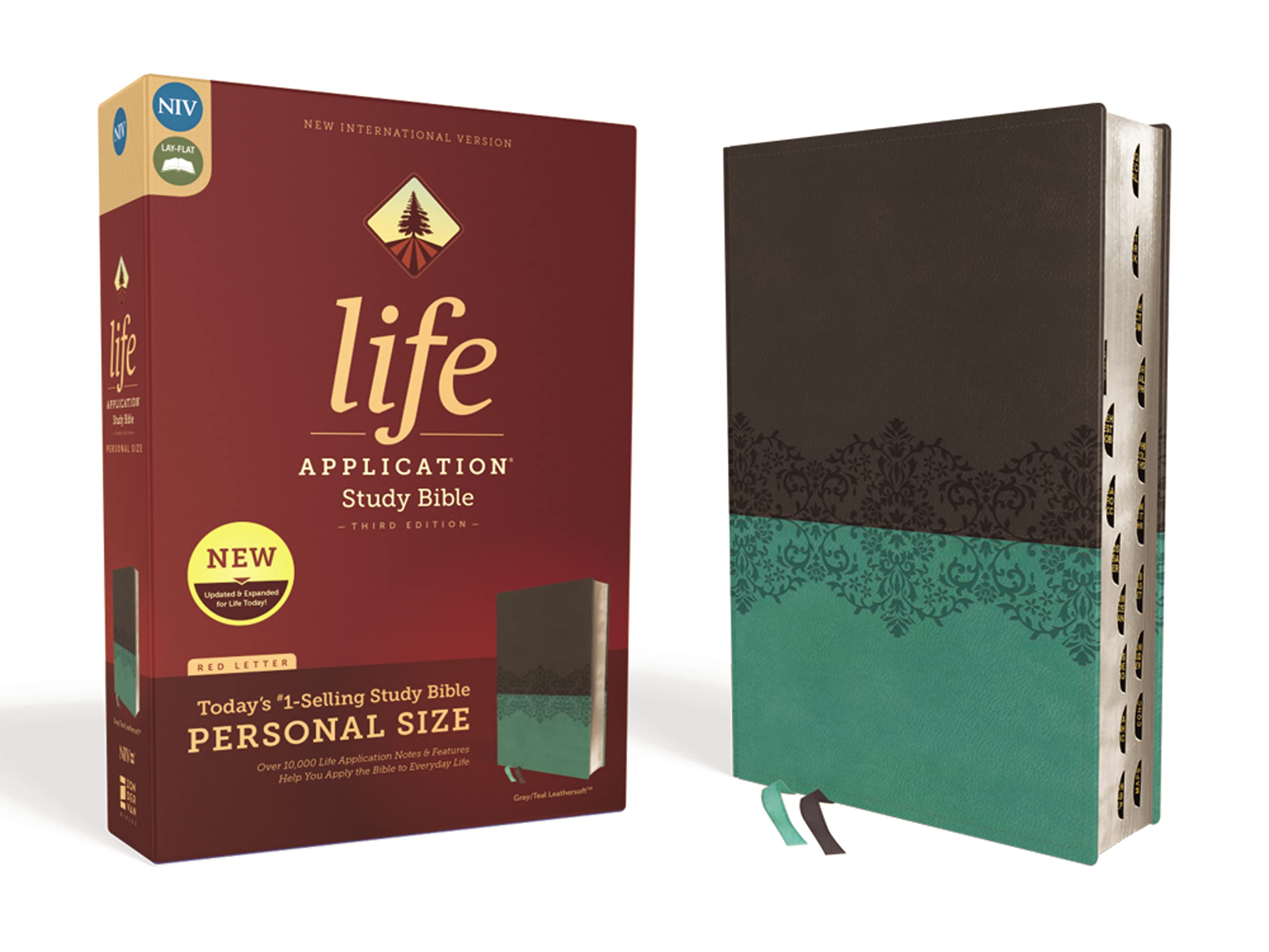 Kids life application bible 子供英語聖書 Kid's Life Application Bible NLT (sc): Tyndale