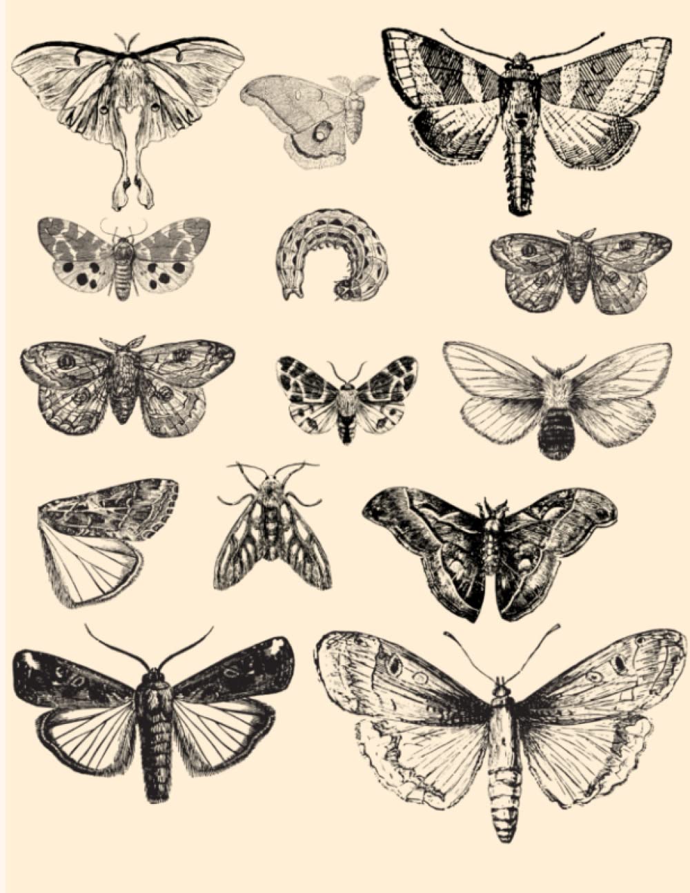 sketchbook: minimalist earthy vintage moth on cream background large blank pages: 8.5X11 150 pages for sketching, drawing, doodling, notetaking, scrapbooking