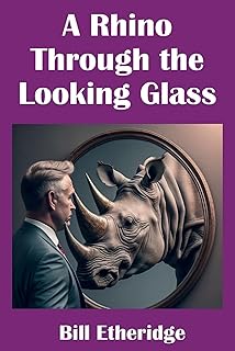 A Rhino Through the Looking Glass