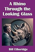 A Rhino Through the Looking Glass