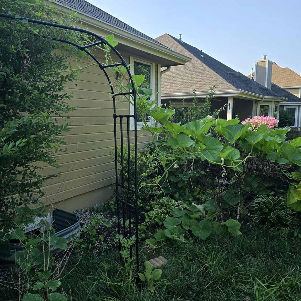 Kratka ogrodowa do róż pnących, odporna na rdzę, regulowana wysokość 60–240 cm (szer. 120 x wys. 240 cm) – idealna dekoracja ogrodowa z kwiatami