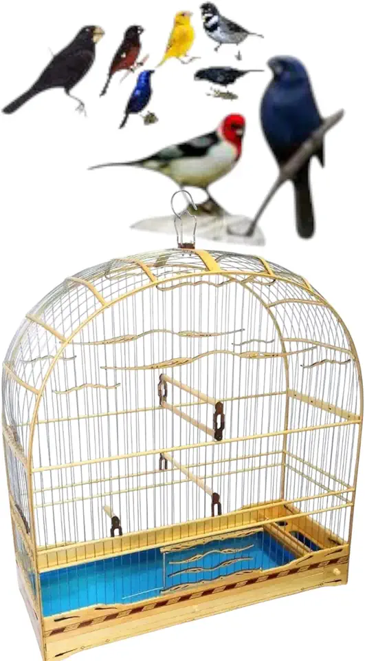 Gaiola Abaulada N8 para Pássaros, Madeira Clara com Base Azul, Design Curvo, para Curió, Bicudo, Azulão, Canário e Coleiro