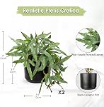 Faux Plants Indoor 9'' Artificial Potted Silk Plant with Black Ceramic Pot Fake Pteris Cretica Fern Plant for Home Office Room Desk Shelf Decor Indoor(2PACK)