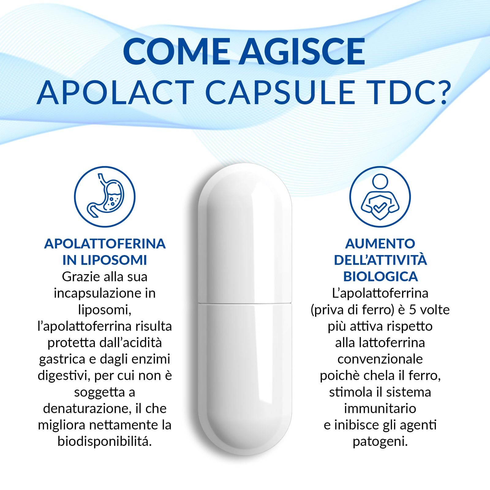 APOLACT TDC - Apo-lattoferrina in liposomi utile per il trattamento degli stati carenziali o nei casi di aumentato fabbisogno di lattoferrina