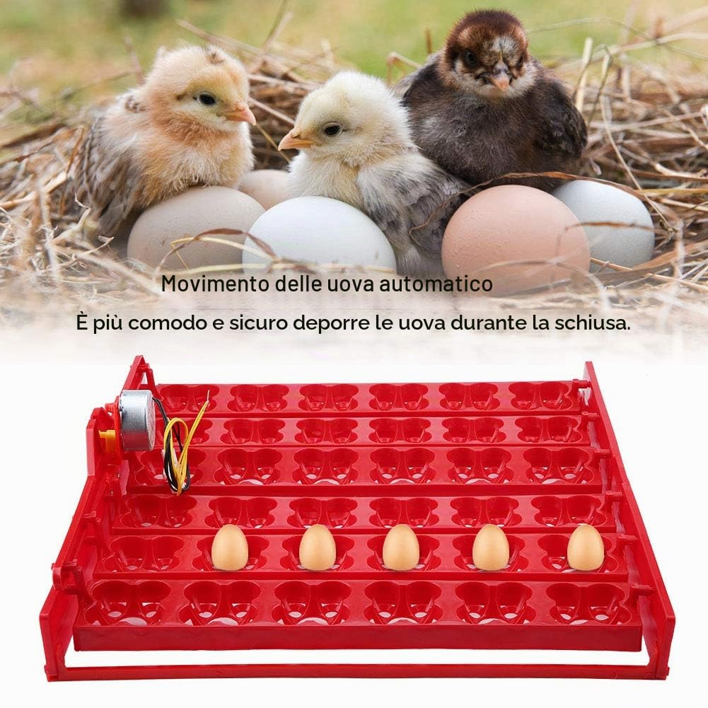 Leylor Egg Incubator for Hatching 36 Chicken Or 144 Bird Eggs Automatic Egg Turner Tray Digital Temperature Control Poultry Hatching Machine for Chickens Ducks Birds