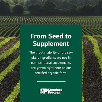 Standard Process Orchex - Nervous System Care Supplement - Excellent Source of Niacin and Vitamin B6 - Non-Dairy & Whole Food-Based - 90 Capsules (90 Servings)