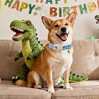 Vista 164 de DOGWONG Collar de perro Airtag de algodón y cáñamo, collar resistente para perros con soporte para Airtag, collares verdes para perros pequeños