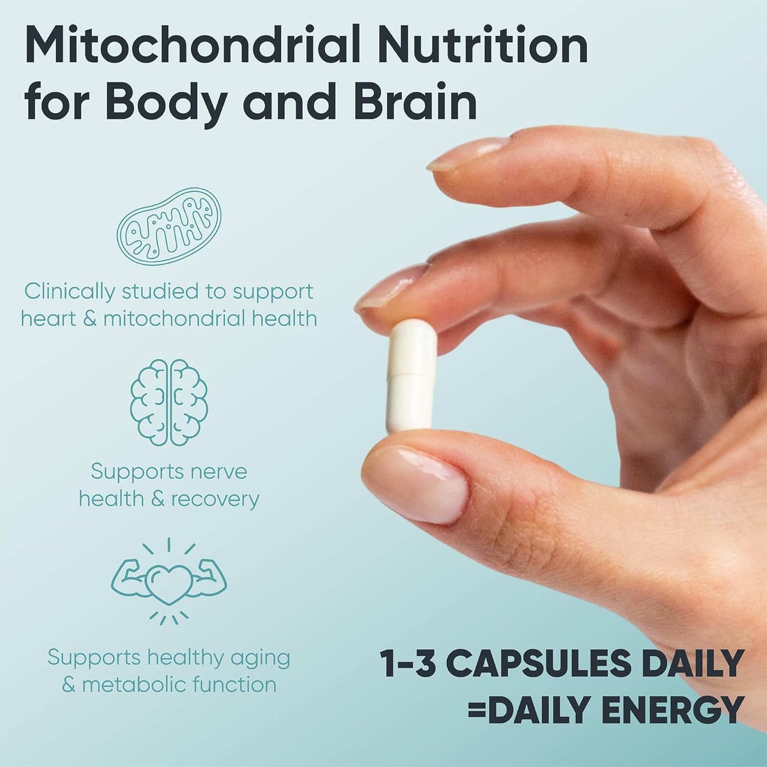 Acetyl-L-Carnitine 500 mg – Highly Bioavailable ALCAR for Cellular Energy & Wellness – Vegan, Non-GMO, Gluten-Free – 60 Veg Capsules - Image 8