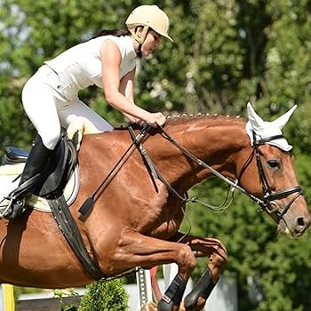 競馬 鞭 楽天市場】【楽天ランキング1位入賞】競馬 ムチ 乗馬 鞭 馬術 むち 短