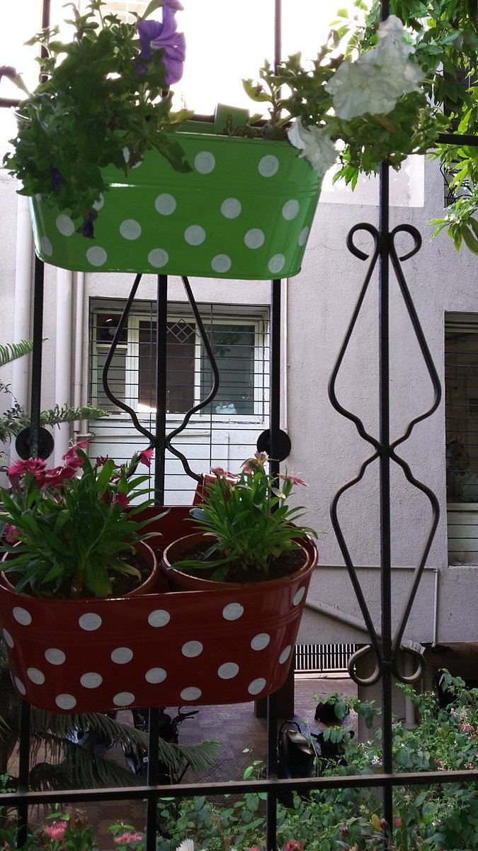 TrustBasket Dotted Plant Containers - Set of 2 -4 TrustBasket Dotted Plant Containers - Set of 2 -4