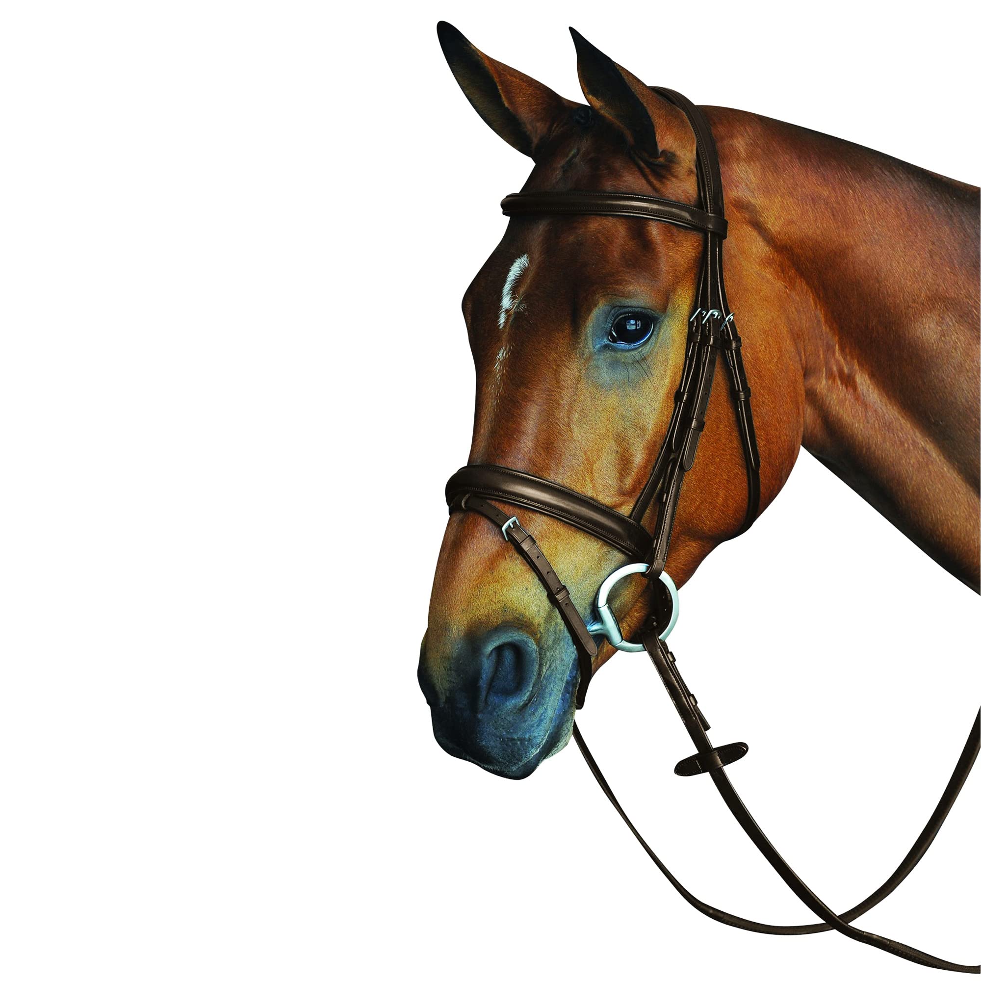 Collegiate Comfort Crown Padded Raised Flash Bridle, Brown, Pony โ image 1