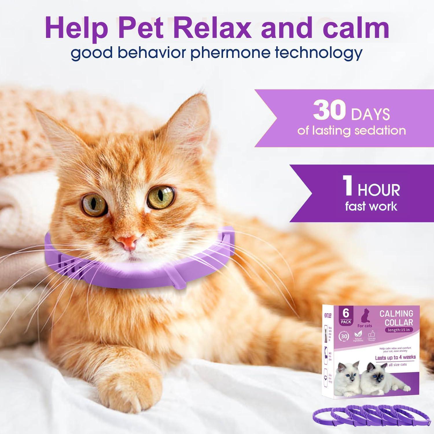 Image result for Pheromone Anxiety Collar 6-Pack S - Pheromone Collars For Anxiety ...