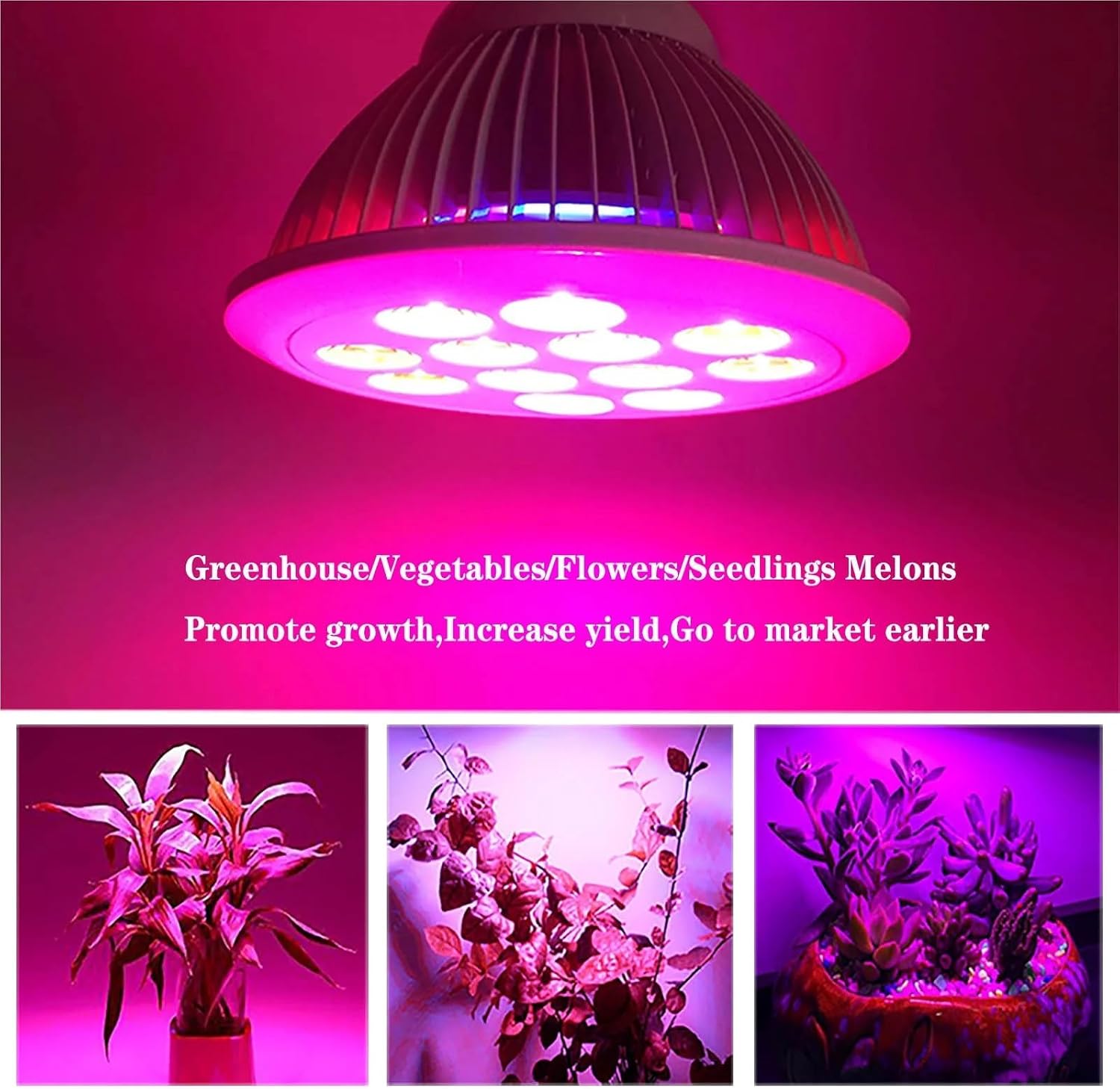 25pcs Connect AC220V Ceramic Plant Growth Bulb Emitting 3W 5W 7W 9W Diode Light Plant Light Vegetable Flower Succulents(5W 220V 25pcs)