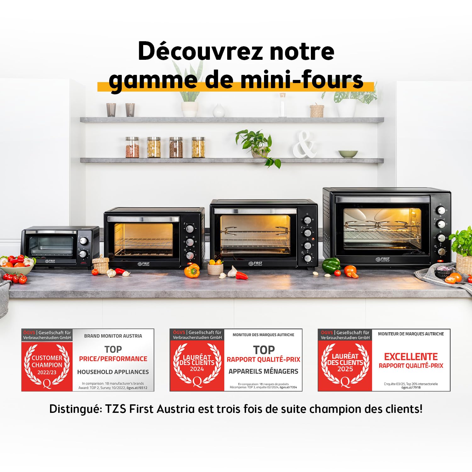 TZS First Austria - Mini Four 20L 1380W - Four avec réglage de la température jusqu'à 230°C - Avec minuteur de 60 min, 3 hauteurs d'insertion, plaque et grille - Pour petites cuisines et camping