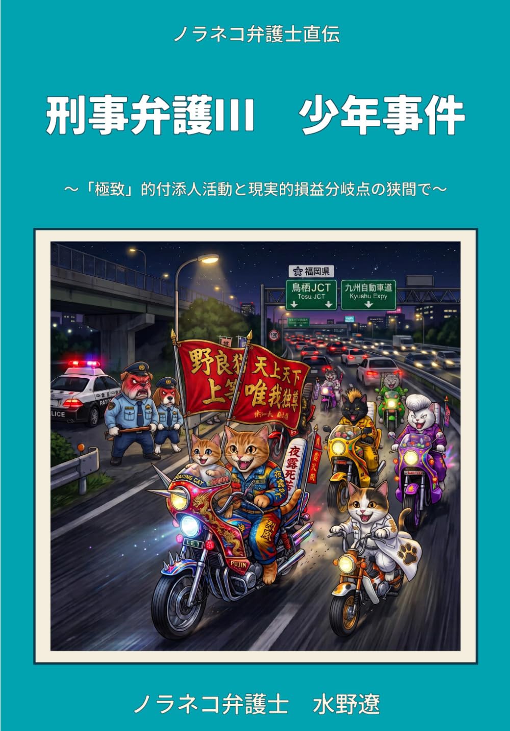 全国弁護士大観/第21版/2019年/最終版/新品未使用/定価の半額以下 ノラネコ弁護士直伝 刑事弁護Ⅲ 少年事件: 「極致」的付添人活動と現実
