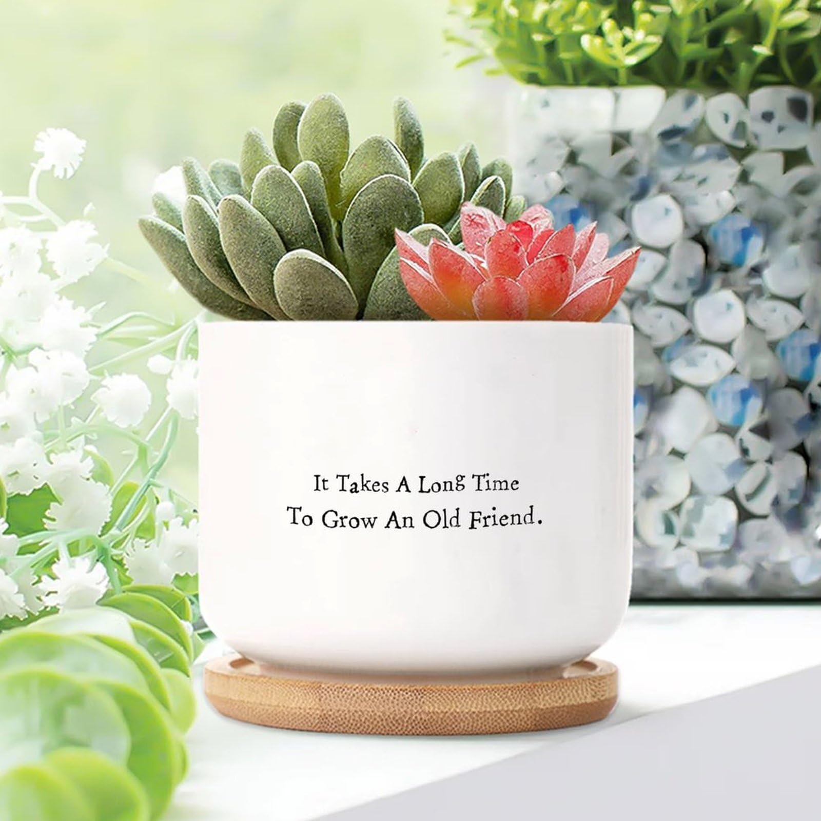 Yelolyio It Takes A Long Time to Grow An Old Friends Ceramic Planters Quote Sayings Pots for Plants With Drainage Holes And Saucers Pot For Outdoor Garden Home Plant