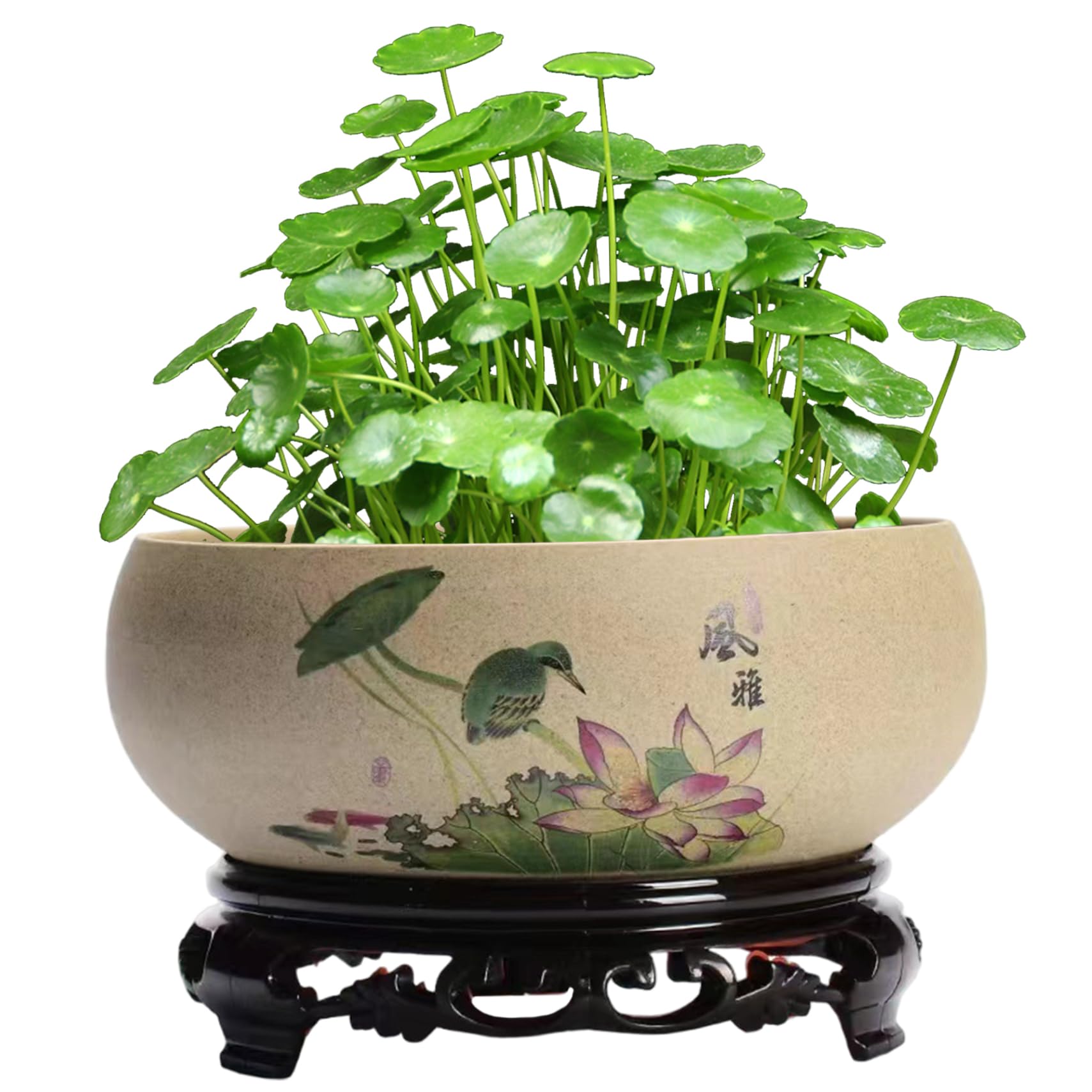 Wedhapy Lotus Bowl Planter Lotus Planter, Ceramic Leaves Birds Bowl 6.5x2.6 Decorative Round Flowerpot Hydroponic Container for Garden, Balcony, Office
