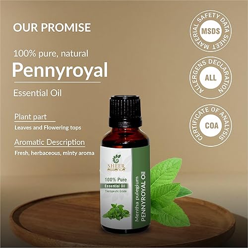 Miniatura 3 de Aceite esencial de Pennyroyal (Mentha Pulegium) 100% puro, natural, sin diluir, sin cortar, aceite de grado terapéutico, 0.16 onzas líquidas