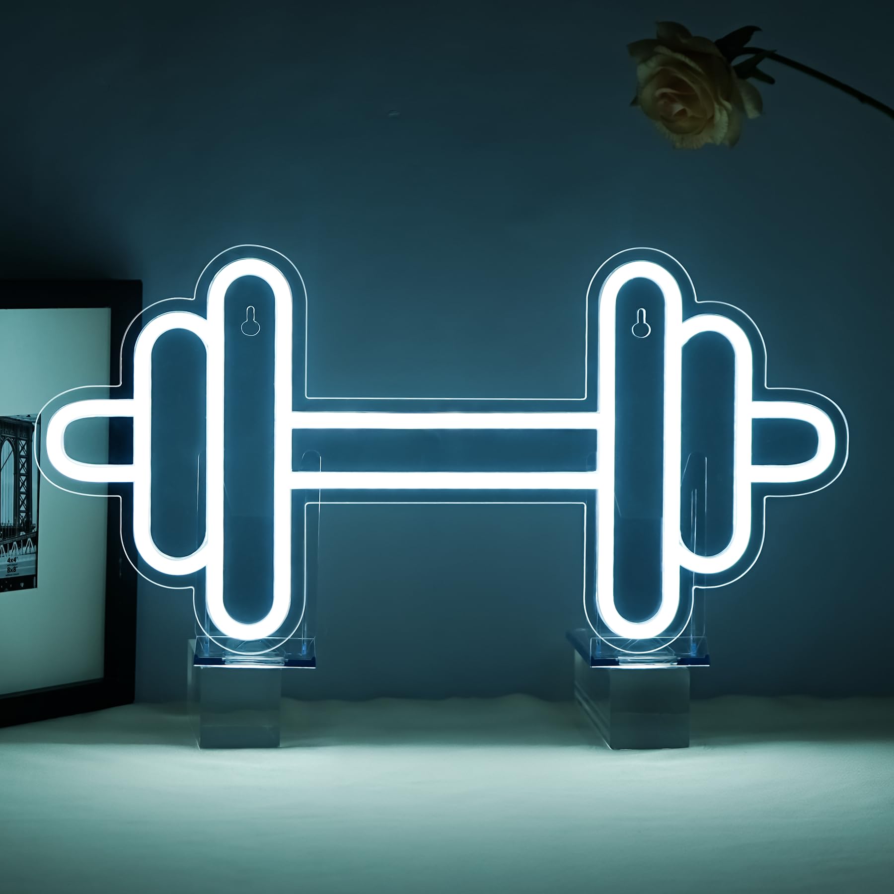 Gym Neon Led Haltères Led Blanc Froid Dimmable Décoration Murale Enseigne Lumineuse Panneau Lumineux Salle de Sport