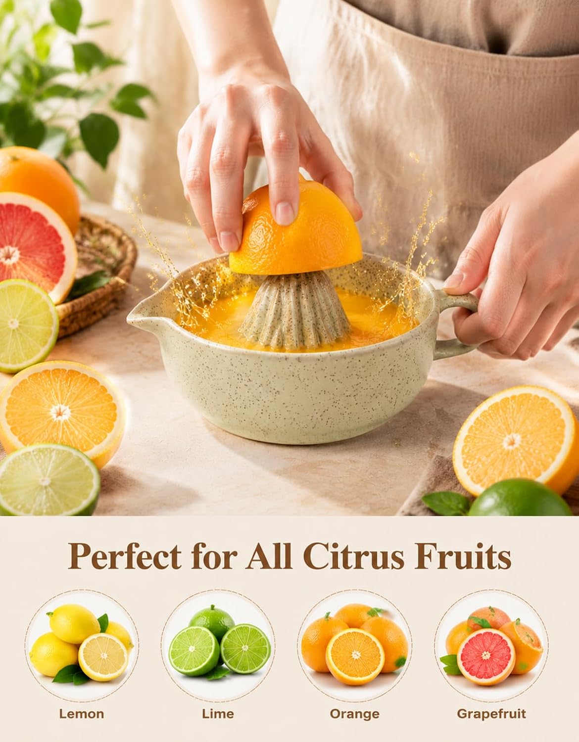 Ceramic Lemon Juicer Manual Hand Juicer Orange Squeezer Bowl with Handle