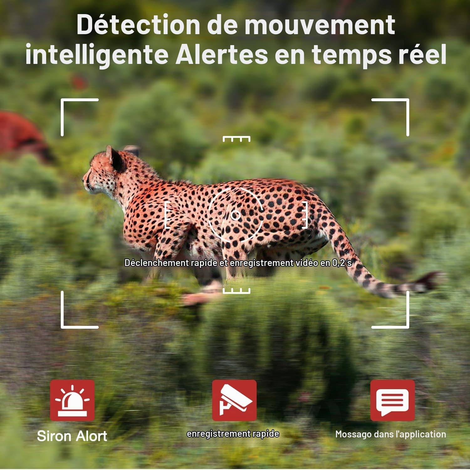 Camera de Chasse 4G et Carte Sim,2K Camera Exterieur sans Fil avec Panneau Solaire et Batterie,Détection PIR,Vision Nocturne Colorée,Audio Bidirectionnel,Étanche IP66,360° PTZ,sans WiFi