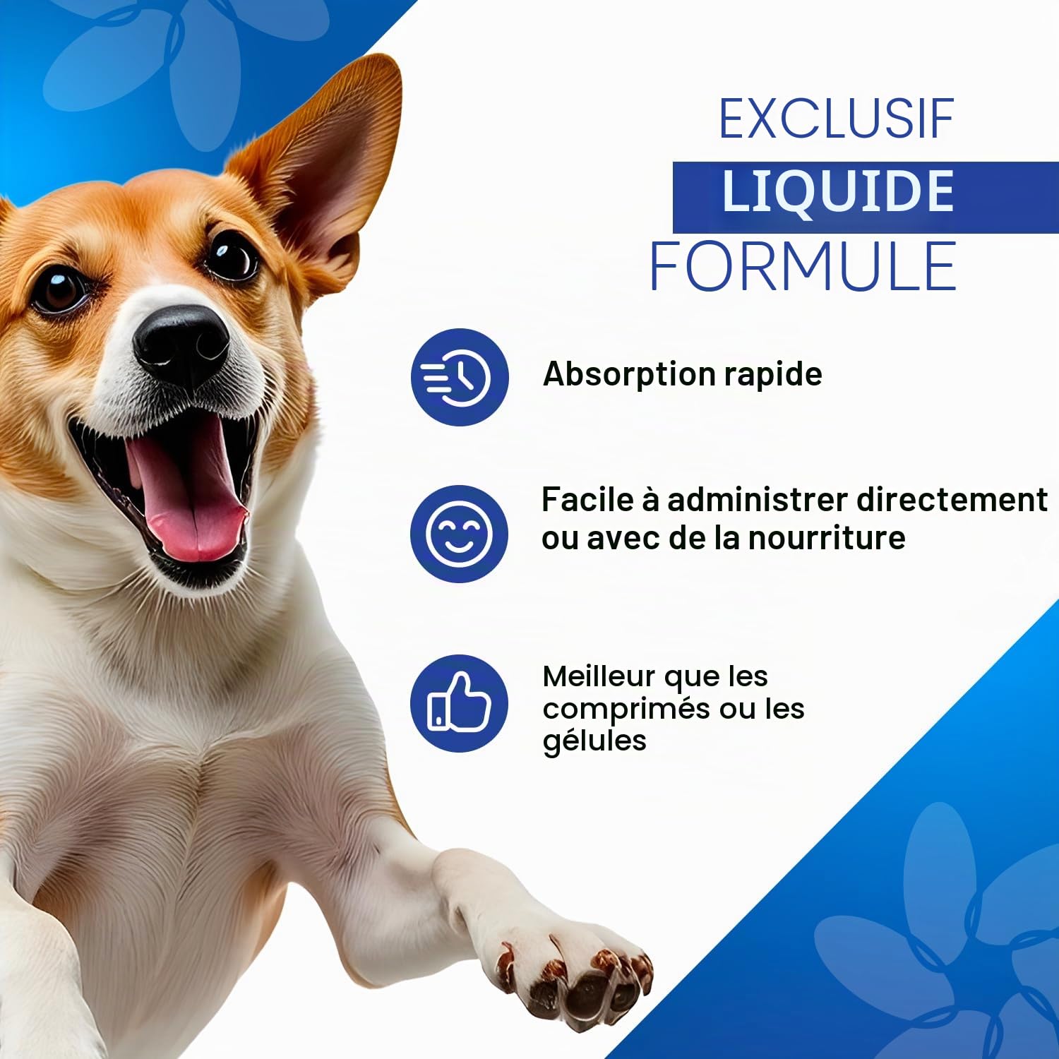 Mobility Care Complément Articulaire Liquide pour Chiens avec Acide Hyaluronique Pur et Vitamine C | Soutien Naturel pour Mobilité, Arthrose, Arthrite et Dysplasie | 100 ML avec Doseur