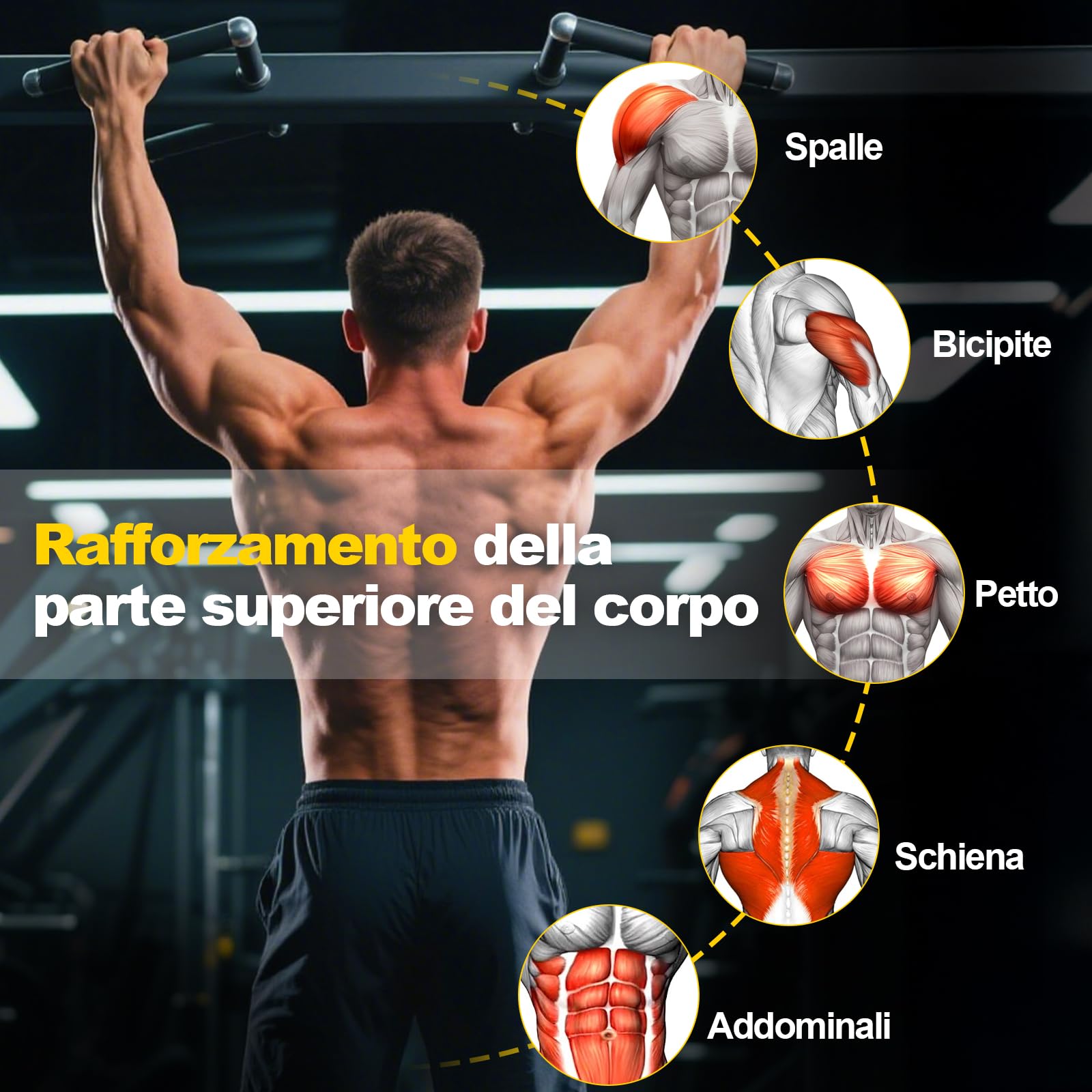 WELSPO Fasce di assistenza per la palestra domestica con manico, ancoraggio alla porta, 4 livelli di resistenza (13,6 kg/27,2 kg/40,8 kg/54,4 kg) set di fasce di resistenza regolabili per trazioni