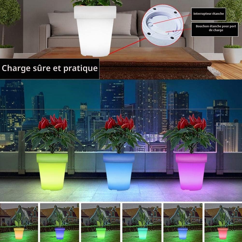 Qcwwy Pot de Fleur Lumineux à Led, Jardinière éclairée en ABS étanche, Lumière Rechargeable et Télécommandée pour la Maison, le Jardin et le Balcon, Fournitures de Jardinage (Avec télécommande)